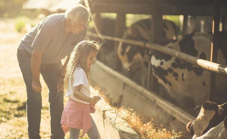 grandparent with child in Nevada